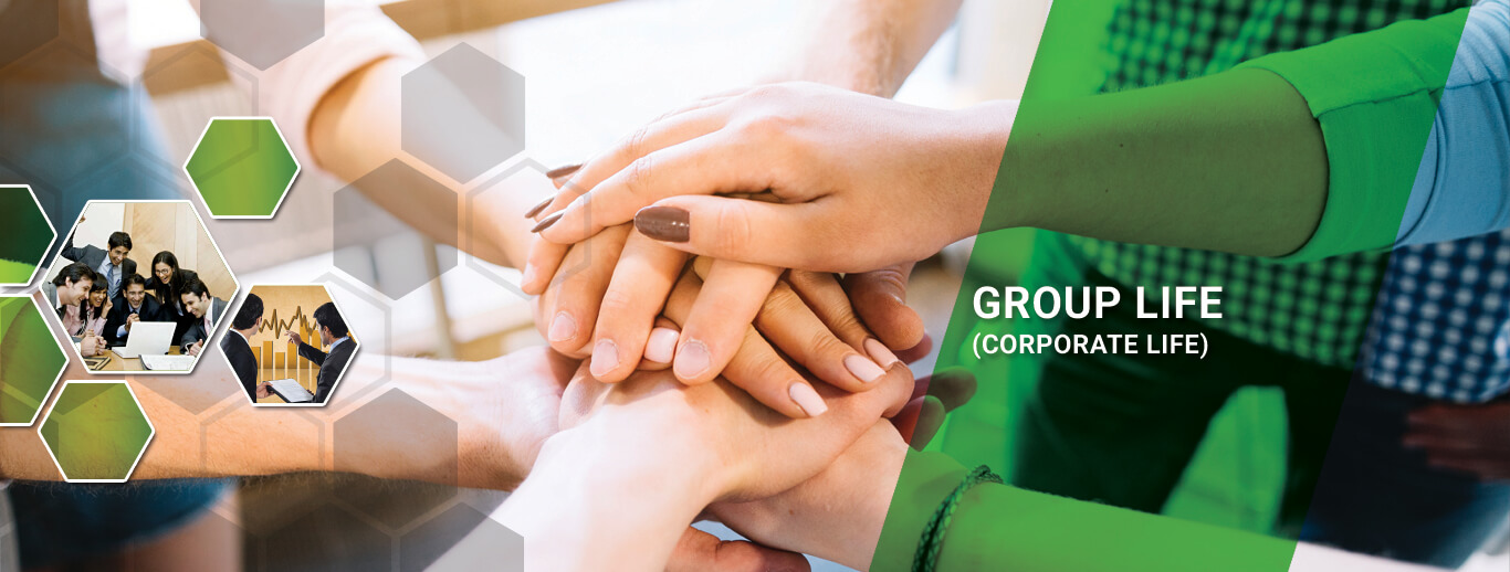 Delta Life Insurance Company Limited A Leading Life Insurer In
